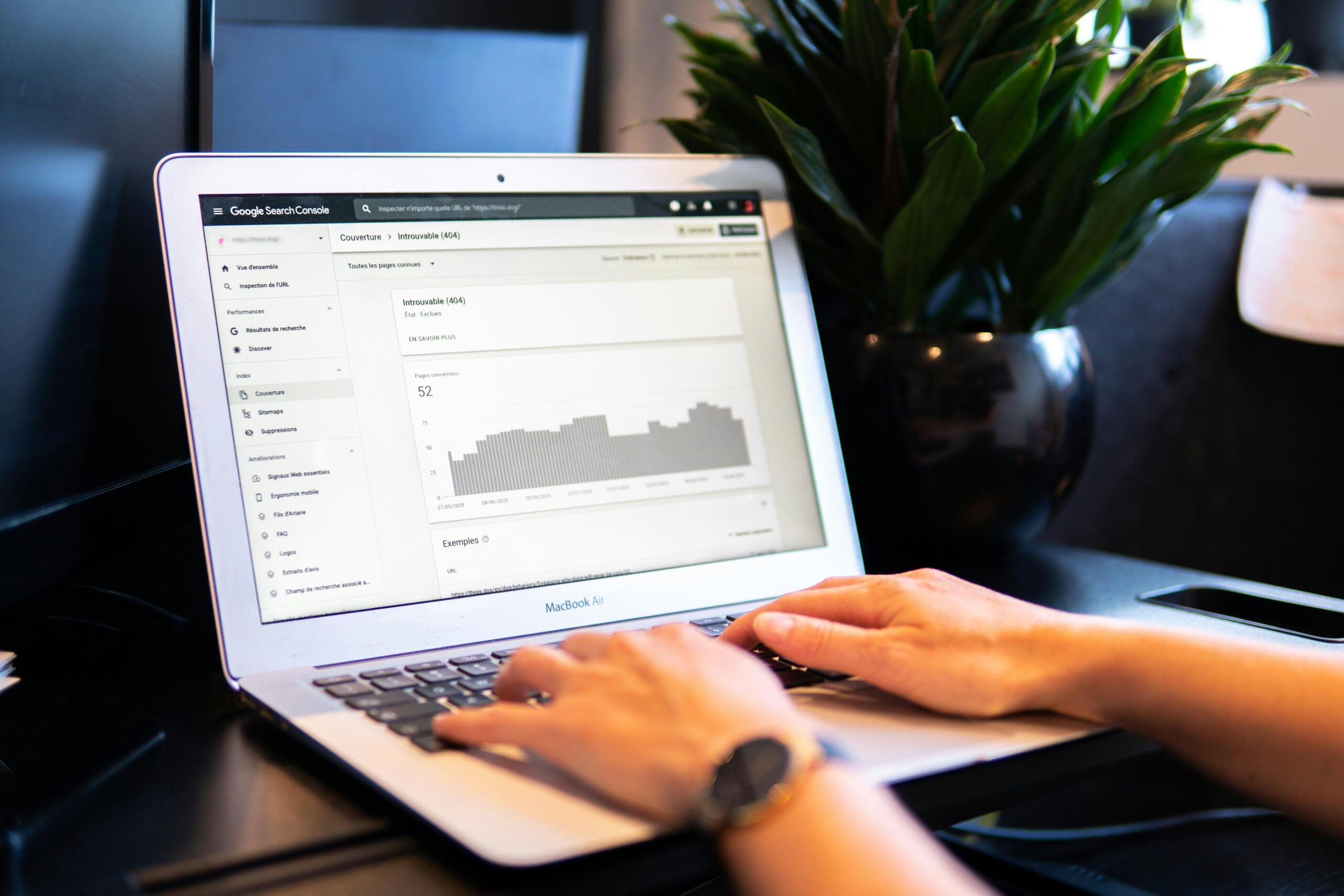Small business owner checking local SEO rankings on laptop